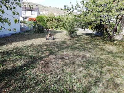 élagage Puy de Dôme